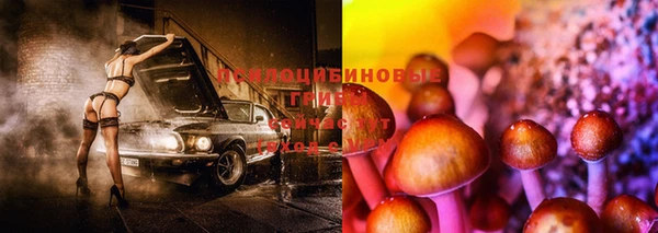 гашик Болхов