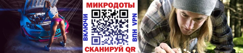 Псилоцибиновые грибы прущие грибы  купить  цена  OMG онион  Неман 